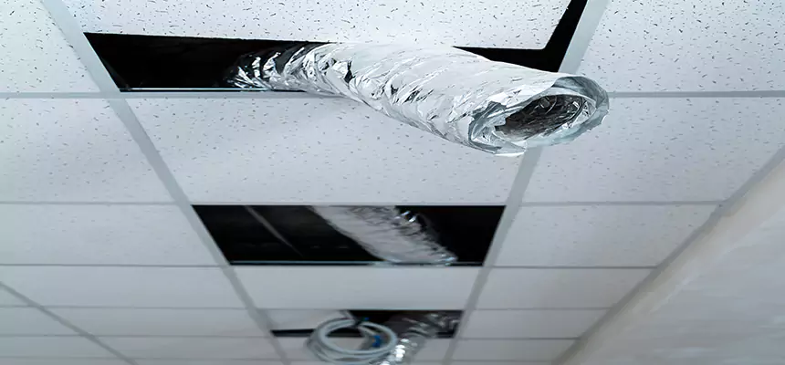 Our Air Duct Pet Hair Removal Services in Hermitage, PA