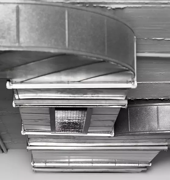 Professional Air Duct Pest Removal in Hermitage, PA