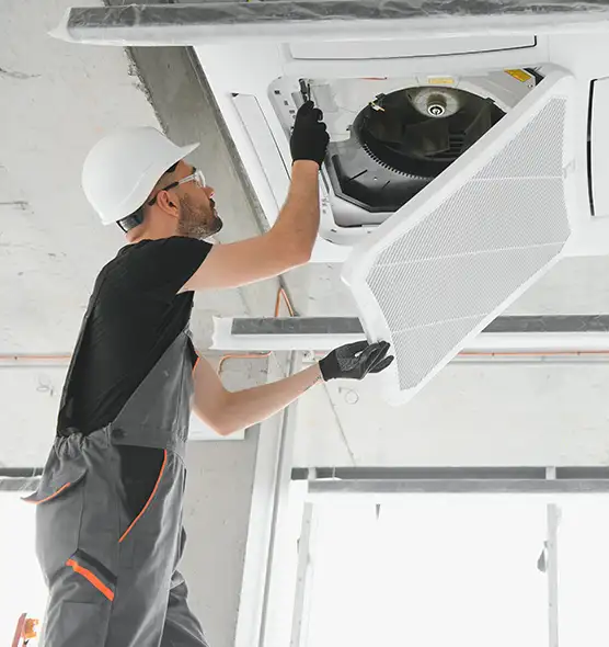 About Air Duct Rodent Removal in Hermitage, PA